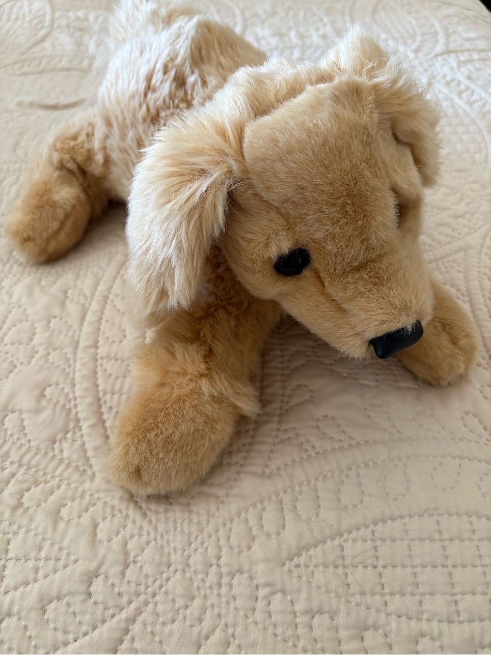 Folkmanis golden retriever puppet.